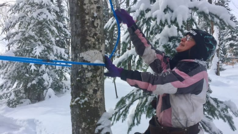 Learning the sweet tricks of the maple syrup trade