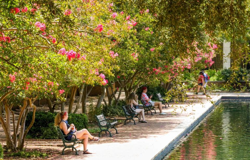 Students enjoy the pond on the University of South Carolina campus. 8/17/20