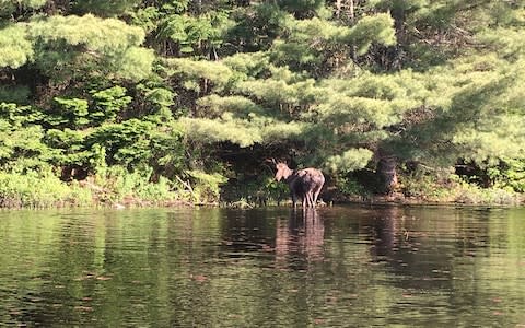 Lake Opeongo, Algonquin Provincial Park