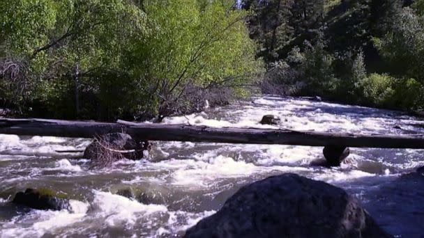 PHOTO: Environmental groups have spent the last 30 years restoring the water near the Blackbird mining site. (ABC News)