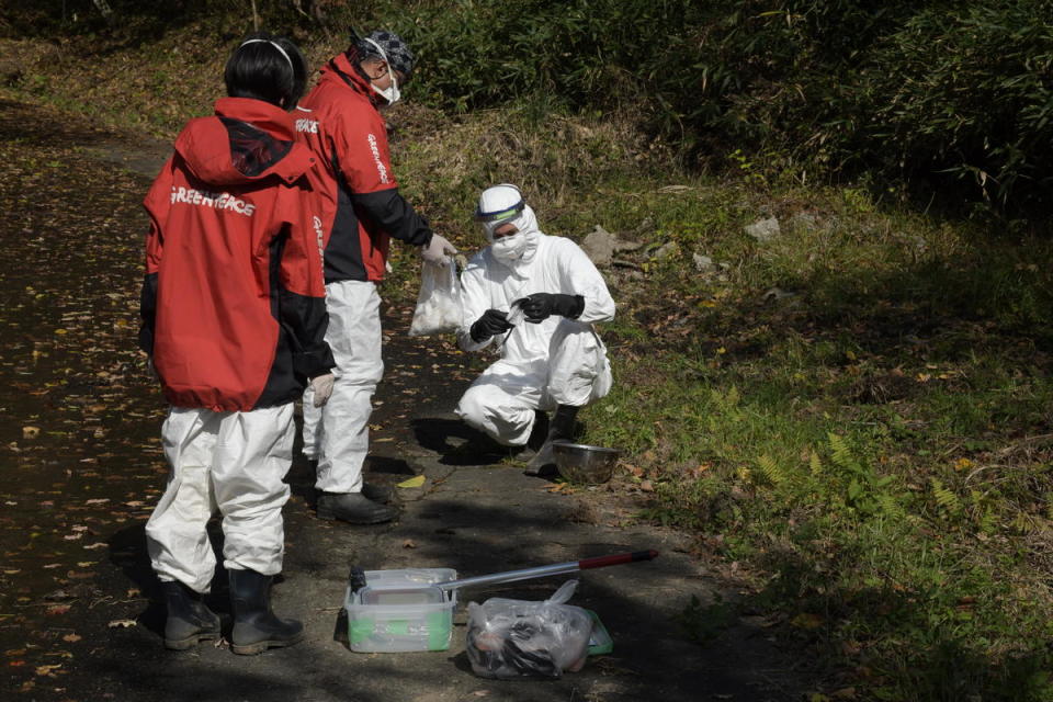 福島核災爆發後，綠色和平調查團隊每年都會重返福島縣監測核輻射值，確保核災善後工作以守護民眾安全為先。