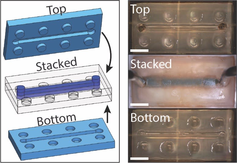 Robots might be a little more appealing -- and more practical \-- if they'renot made of hard, cold metal or plastic, but of a softer material