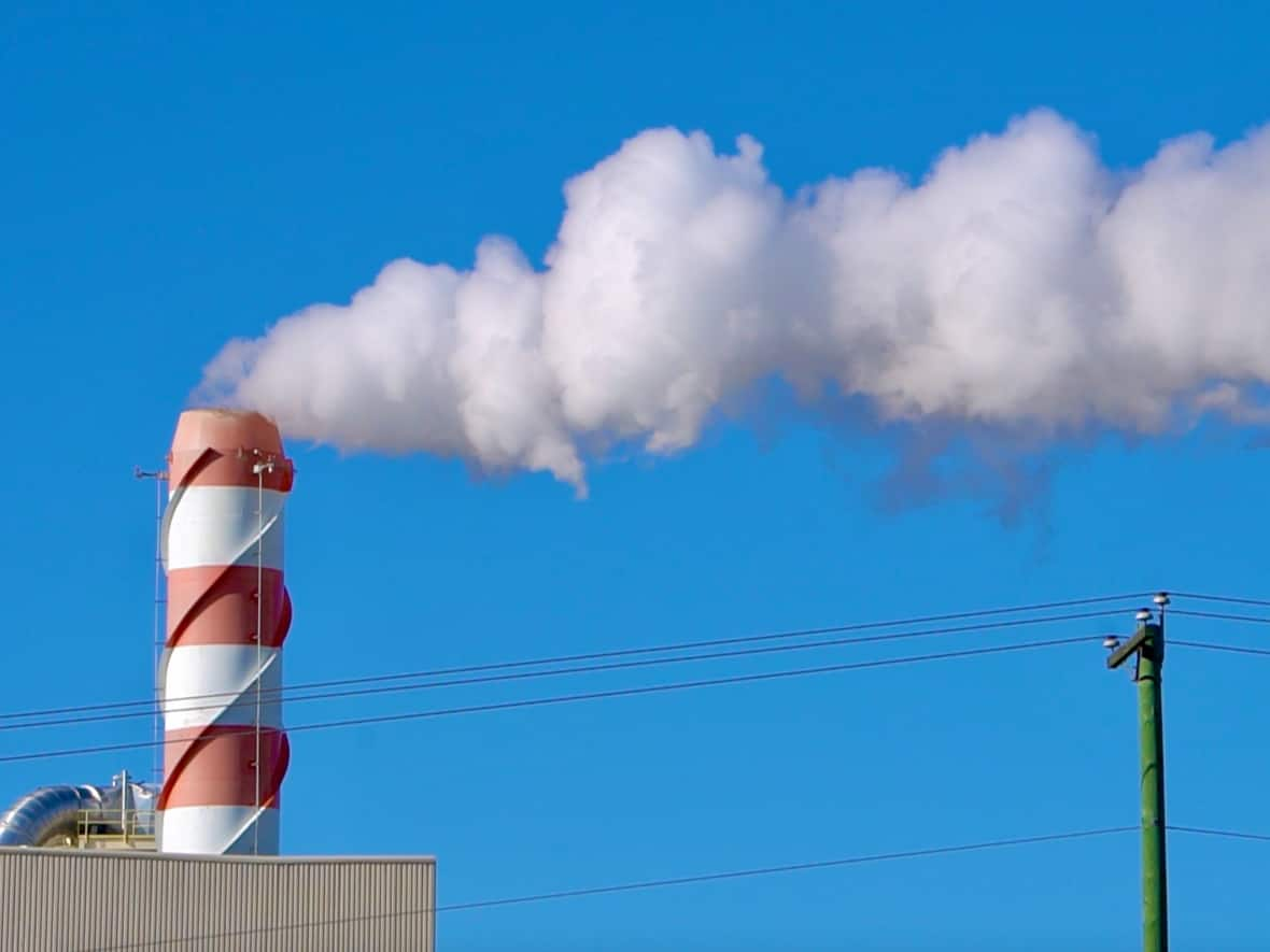 A recent photo of a Canadian lumber facility. To meet goals set at past UN climate conferences, as well as the federal government's own emissions targets, considerable change is necessary. What's clear is that meeting current climate goals in Canada won't be simple or cheap. (Kyle Bakx/CBC - image credit)