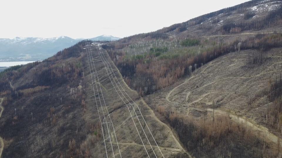 A drone camera captures the power lines that the B.C. Wildfire Service used as a control line to try to prevent the fire from spreading. Burnt forests can be seen on both sides of the power lines.