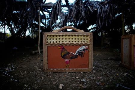 A handmade case used to transport a rooster is seen at a cockfighting arena on the outskirts of Ciro Redondo, central region of Ciego de Avila province, Cuba, February 12, 2017. REUTERS/Alexandre Meneghini