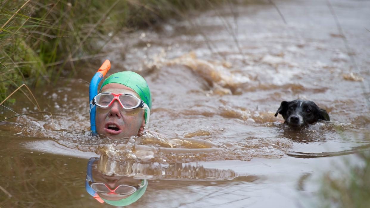  Angela Jones swims with her dog Jack during the World Bog Snorkelling Championships 