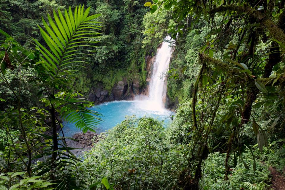 Water fall at the Rio Celeste, Tenorio National Park, Guanacaste, Costa Rica, Central America