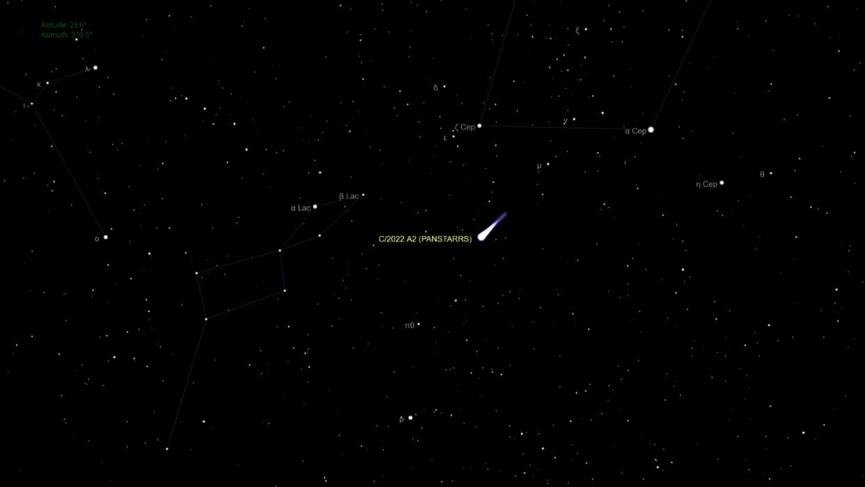  An illustration of the night sky on Feb. 19 showing comet C/2022 A2 (Pan-STARRS) near the constellation Cepheus.  