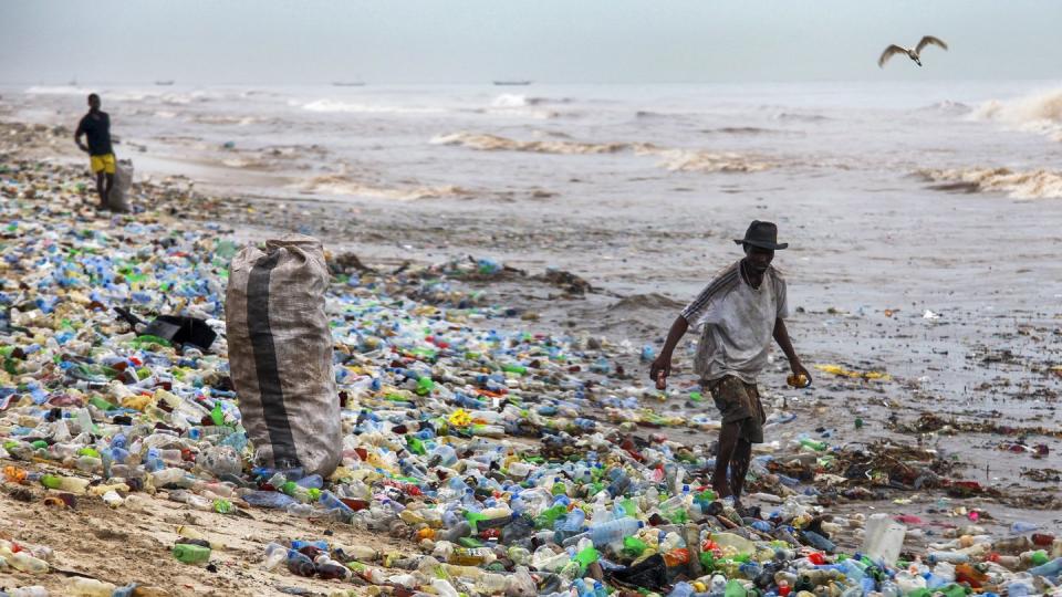 An immer mehr Orten in der Welt wird Plastikmüll illegal entsorgt.