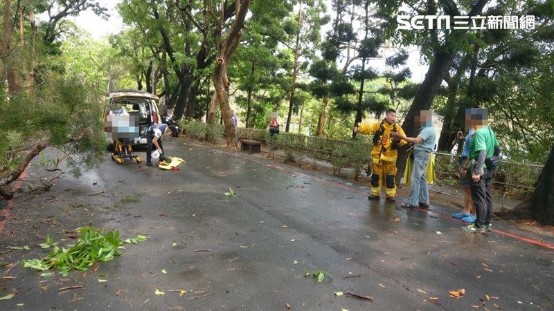 高雄上午風大雨大，66歲李男遭倒塌樹木擊中不治。（圖／翻攝畫面）