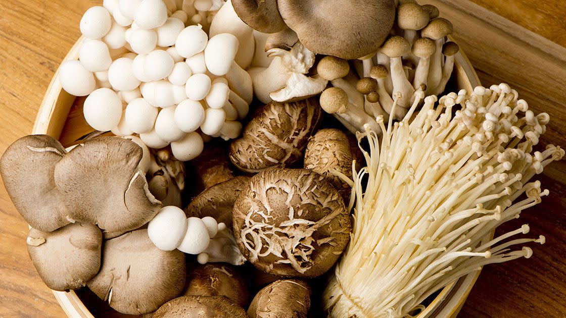 health-benefits-mushrooms-medicinal-cordyceps-reishi.jpg