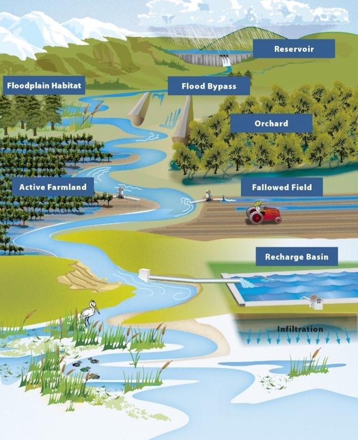 Flood-managed aquifer recharge methods. <a href="https://water.ca.gov/programs/all-programs/flood-mar" rel="nofollow noopener" target="_blank" data-ylk="slk:California Department of Water Resources" class="link ">California Department of Water Resources</a>
