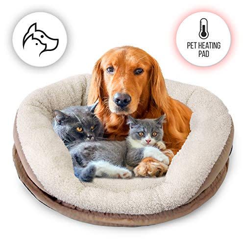 Best Energy Efficient Heated Dog Bed