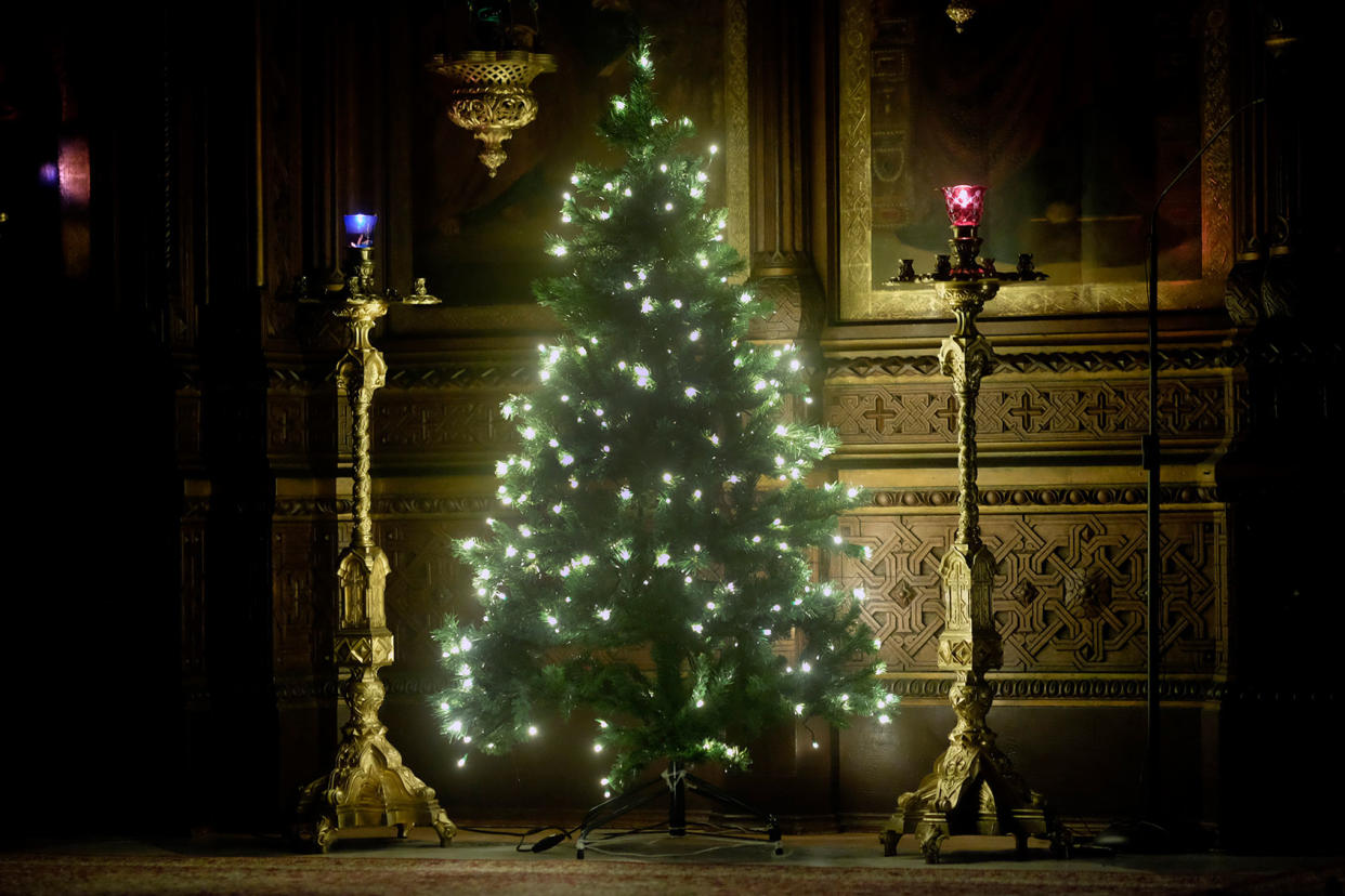 Christmas tree Getty Images/Eddie Gerald