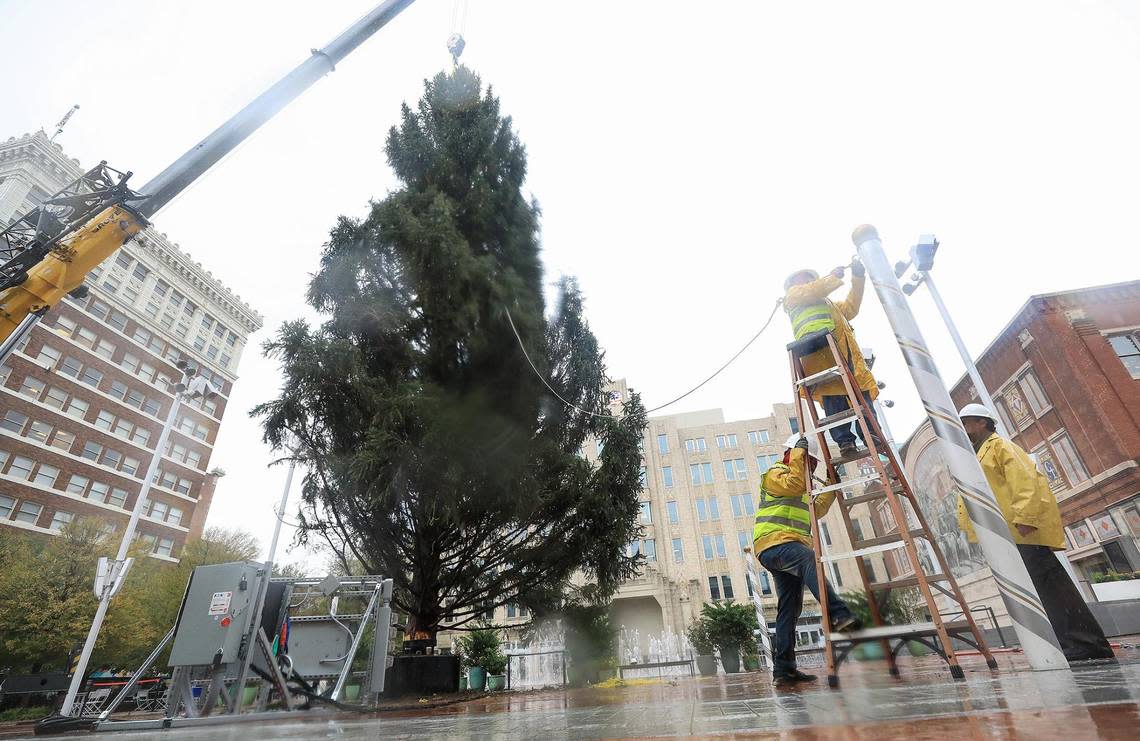 A crew works to stabilize the 2022 Ft Worth Christmas Tree in Sundance Square Plaza on Monday, November 14, 2022, in downtown Fort Worth.