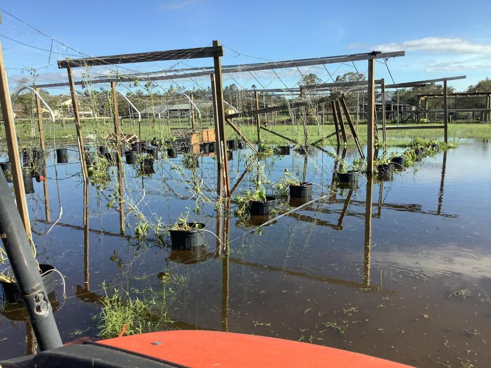 Flooding and damage from Hurricane Ian is seen at Southern Family Farms Inc. in Fort Myers, Florida, in the days after the storm destroyed towers, roofs and hydroponic crops on Sept. 27, 2022.