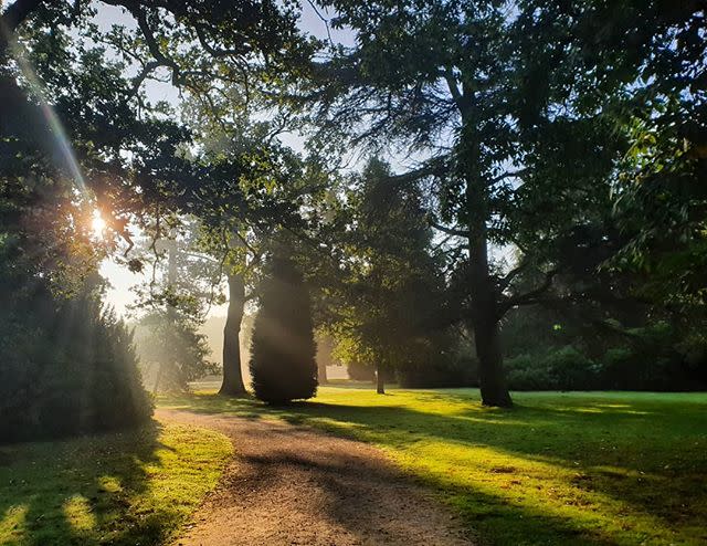 5) Clumber Park, Nottinghamshire