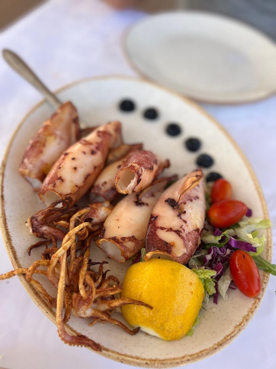 A plate of grilled calamari.