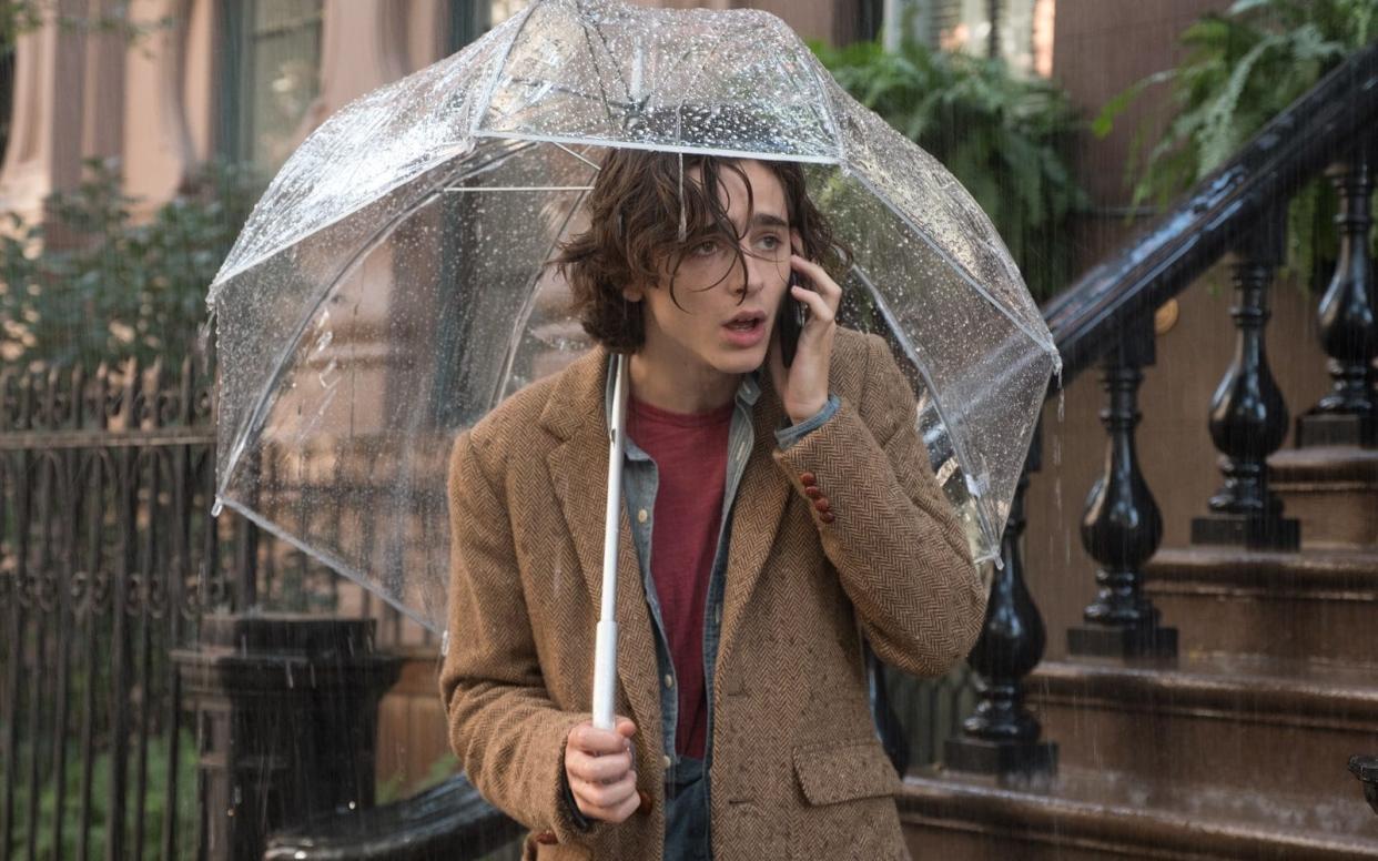Timothée Chalamet stars in A Rainy Day in New York - Jessica Miglio