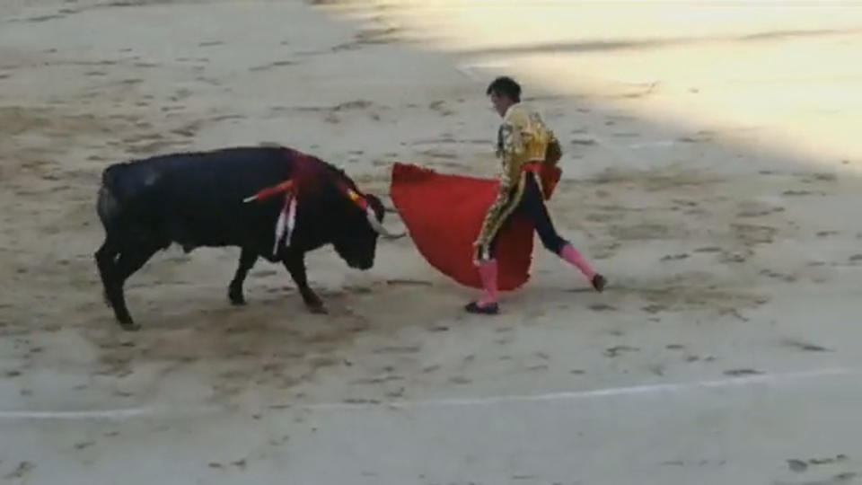 Pic shows: Bullfighter gored by bull.  This is the moment a matador is gored by a bull in a Madrid bullring and reportedly sustains two fractures and a 25-centimetre gash.