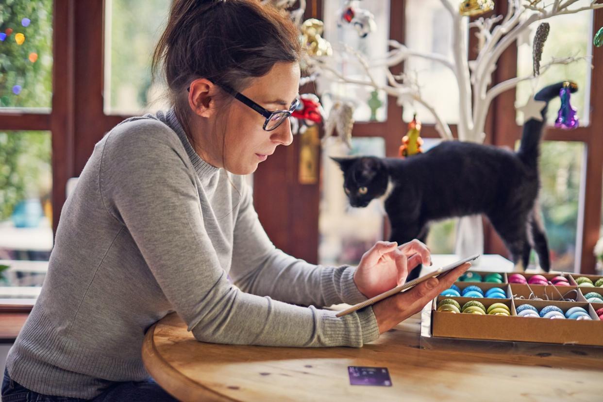 woman christmas shopping online with her cat