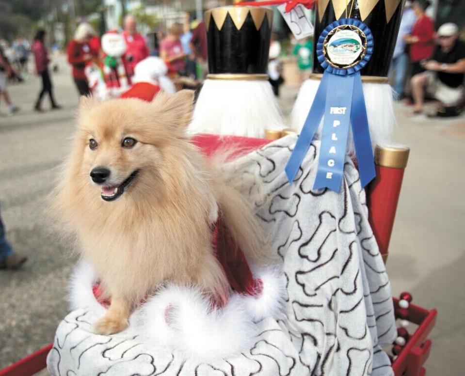 Avila Beach’s Santa’s Doggie Parade on Dec. 7, 2014.