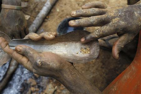 A prospector sorts gold particles found at a new gold mine in a cocoa farm near the town of Bouafle in western Ivory Coast March 18, 2014. REUTERS/Luc Gnago