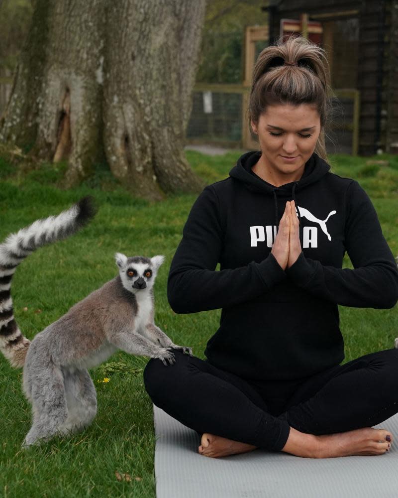 Yogi with lemur