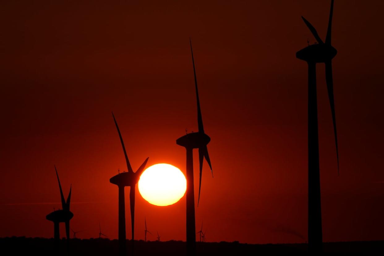 Wind turbines could soon dot the horizons of Newfoundland, as several green hydrogen projects move toward final investment decisions. A big question mark remaining is how the federal government will structure its lucrative tax credits. (AP Photo/Matthias Schrader - image credit)