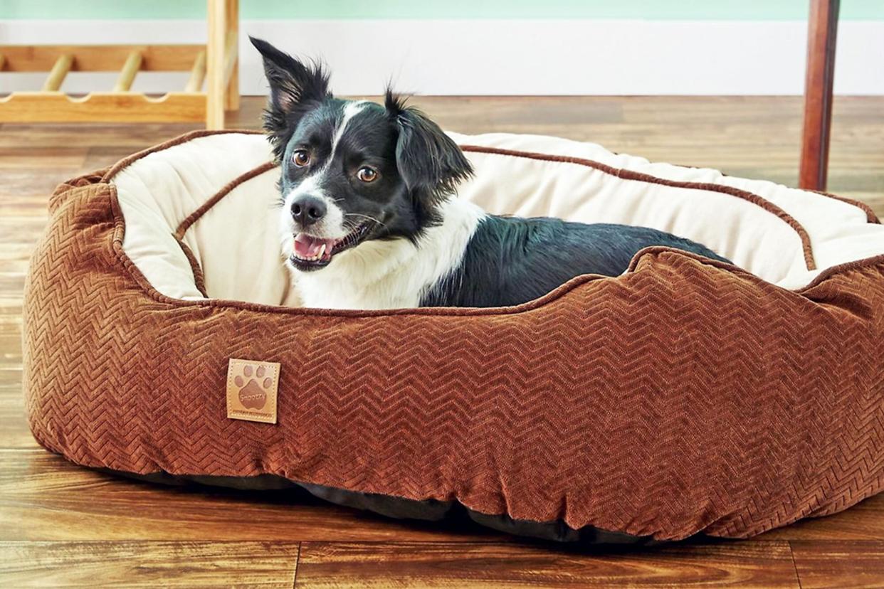 dog laying a chew-proof dog bed