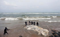 <p>Military officials pull a dead whale out of the sea in Colombo, Sri Lanka May 22, 2017. (Photo: Dinuka Liyanawatte/Reuters) </p>