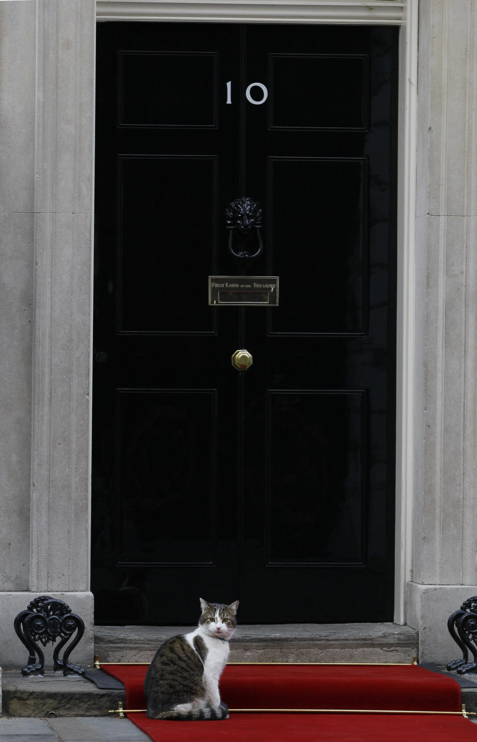 FILE - In this Monday, Jan. 16, 2012 file photo, Larry the cat sits on the red carpet as he awaits Palestinian President Mahmoud Abbas at Downing Street in London. Monday, Feb. 15, 2021 marks the 10th anniversary of rescue cat Larry becoming Chief Mouser to the Cabinet Office in a bid to deal with a rat problem at 10 Downing Street. (AP Photo/Kirsty Wigglesworth, file)