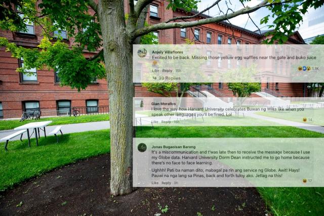 Campus-hijacking Pinoys 'go to Harvard,' mob university's Facebook