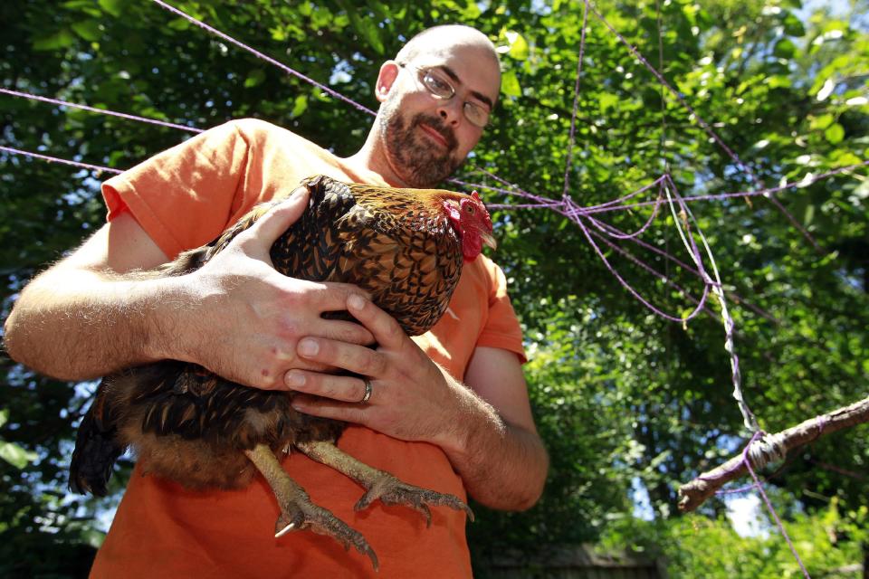 Jonah McDonald holds one of his chickens at his Atlanta home Wednesday, May 30, 2012. McDonald teaches about chickens at an Atlanta school and says he always advises students to wash their hands after handling them. Mail-order chicks that appeal to kids and backyard farmers have been linked to the U.S.'s longest running salmonella outbreak, sickening more than 300 people - many of them young children. McDonald said he doesn't know of anyone who's gotten salmonella from handling chickens. "The kids in my neighborhood come over and feed scraps into the cages," he added. "It's a real community thing." (AP Photo/John Bazemore)