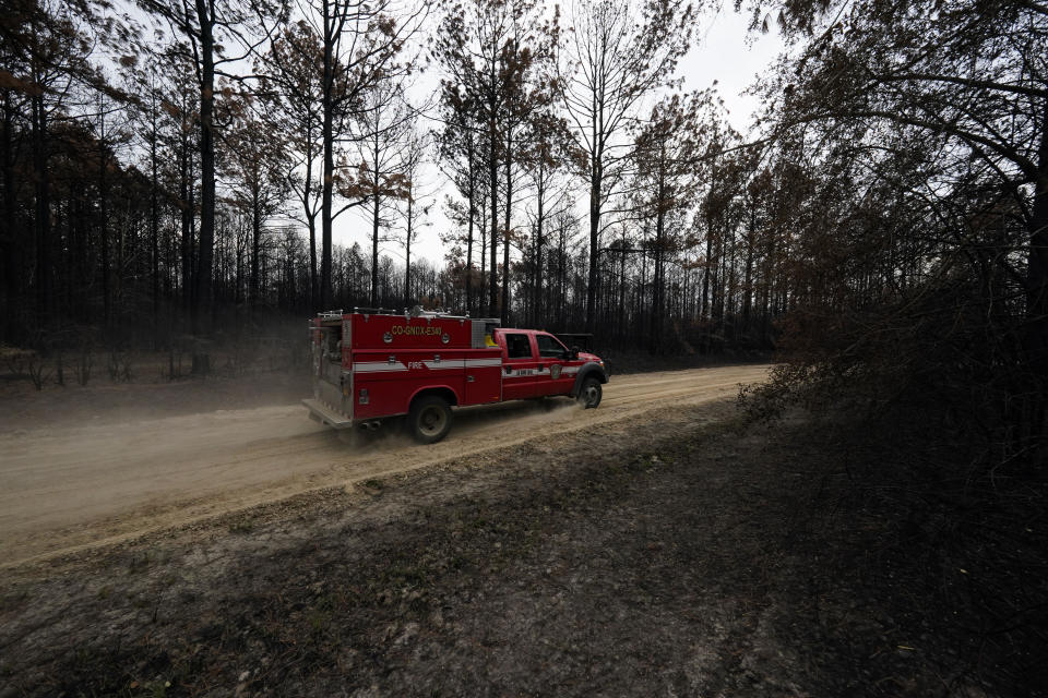A fire vehicle drives through a burnt forest in the aftermath of a wildfire in Leesville, La., Wednesday, Sept. 13, 2023. (AP Photo/Gerald Herbert)