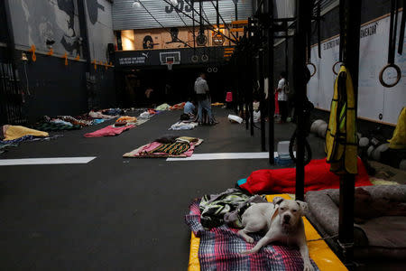 People who have lost their homes rest in a gym turned into a shelter after an earthquake in Mexico City, Mexico September 21, 2017. REUTERS/Ginnette Riquelme