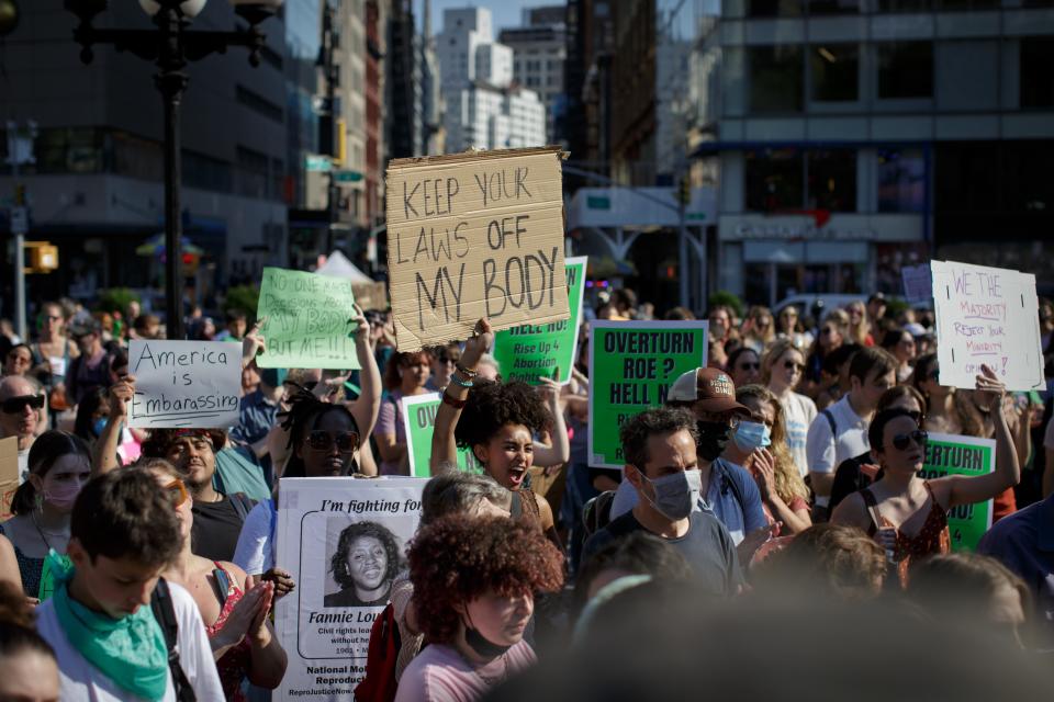 A large crowd of protesters.