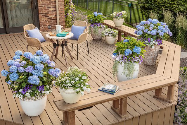 <p><a href="https://www.provenwinners.com/learn/container-gardening/how-grow-hydrangeas-containers" data-component="link" data-source="inlineLink" data-type="externalLink" data-ordinal="1">Proven Winners</a></p>