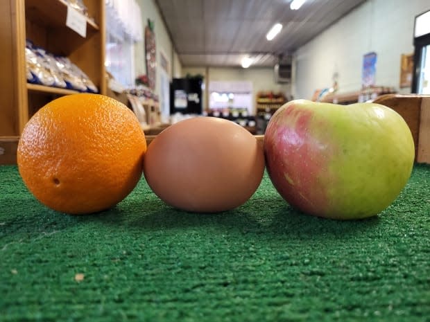 Leamington, Ont., farmers crack the mystery of the giant egg