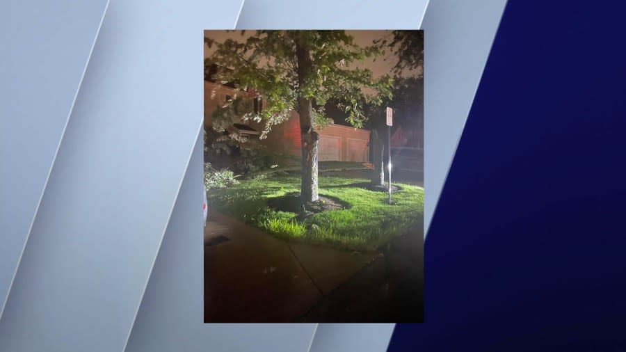 A downed tree collapsed in front of a home in Hanover Park