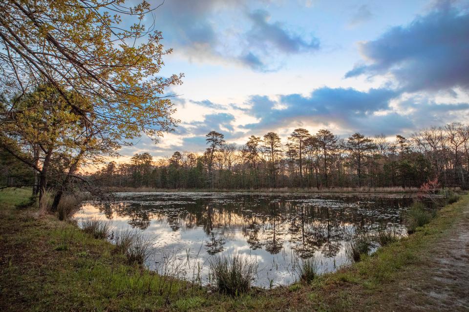 Cloverdale Farm County Park in Barnegat, NJ warms to the idea of spring on April 29, 2022.