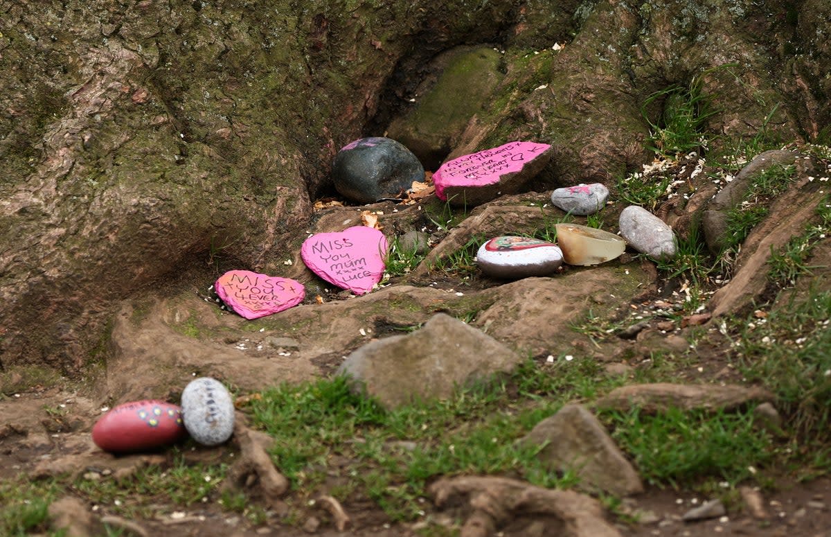 Messages left on stones beneath the remains of the tree (EPA)