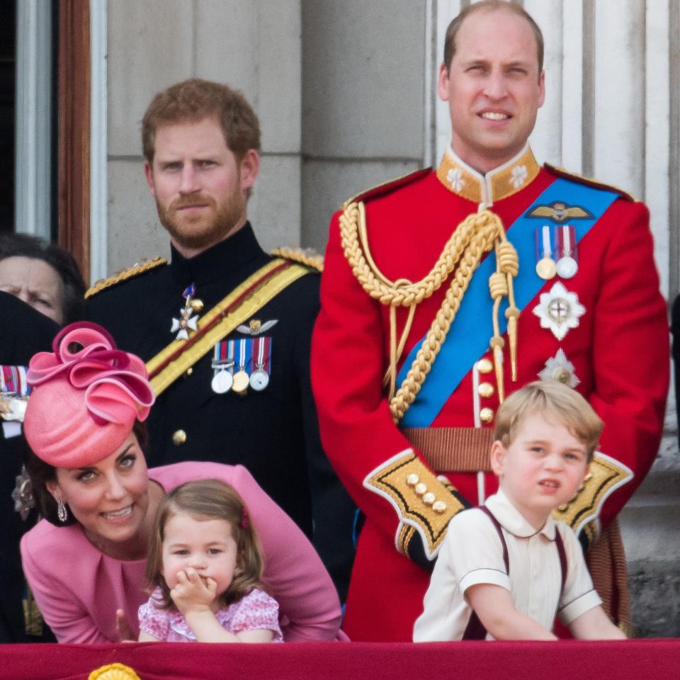 The modern royal family - Credit: Samir Hussein/WireImage