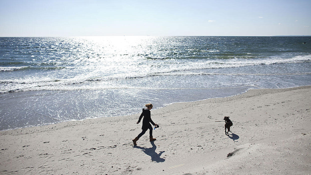 Rockaway beach, dog walker