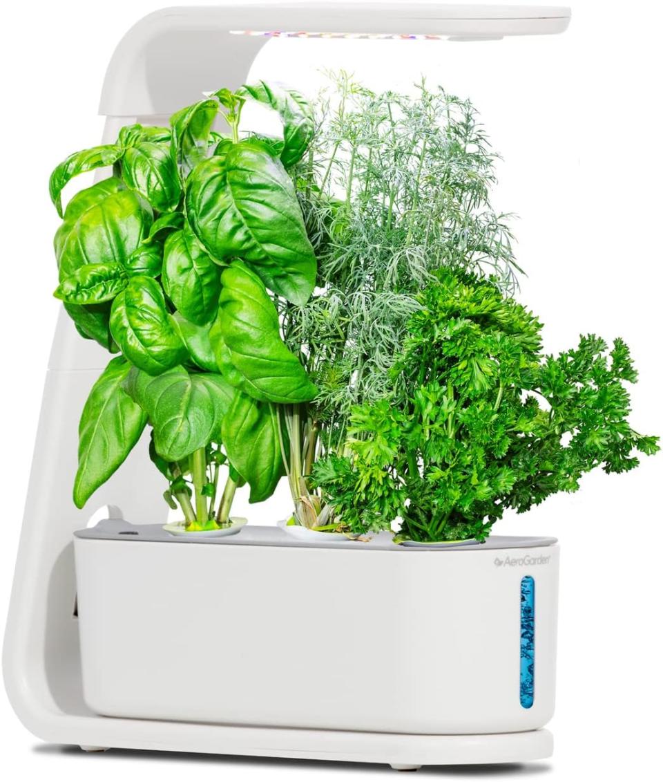 Aerogarden Sprout Herb 