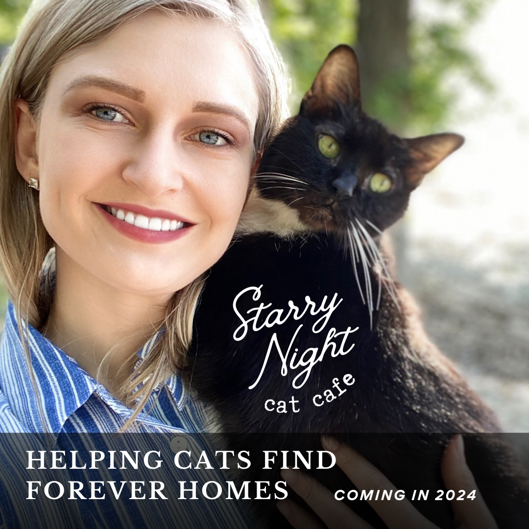 Lexi Peterson plans to open Starry Night Cat Café in 2024 in Stevens Point.
