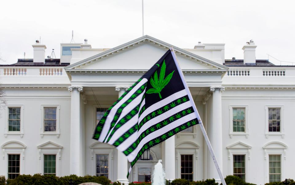 April 2, 2022: A demonstrator waves a flag with marijuana leaves depicted on it during a protest calling for the legalization of marijuana, outside of the White House in Washington D.C.