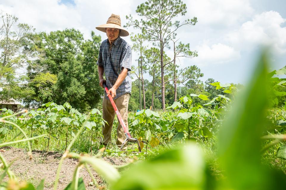 Brennon "Bruno" Sagrera is a fifth- generation farmer developing farming practices that work synergistically with the land and surrounding environment. Friday, June 17, 2022.