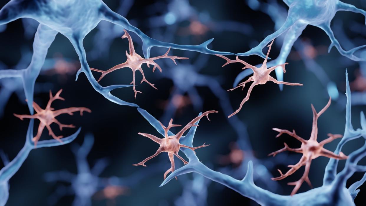 Illustration of microglial cells (in pink) interacting with neurons (in blue)