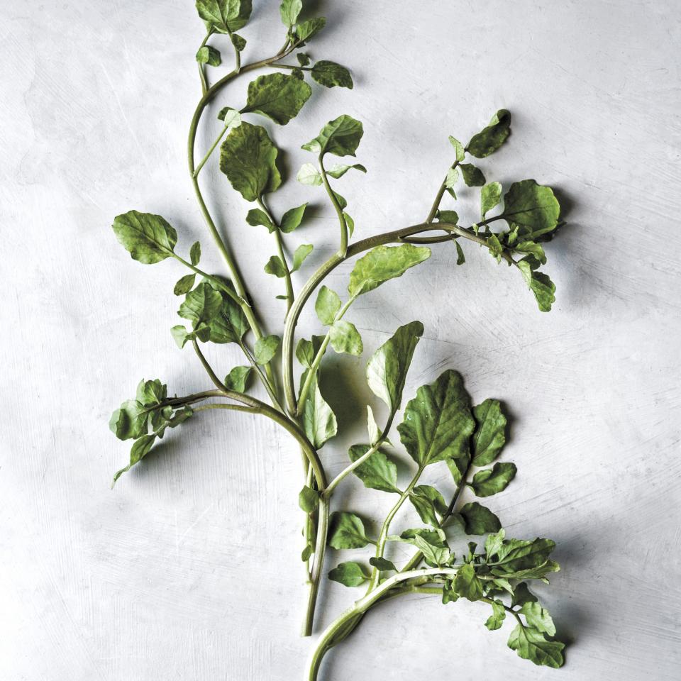 From arugula to watercress, we've got you covered.